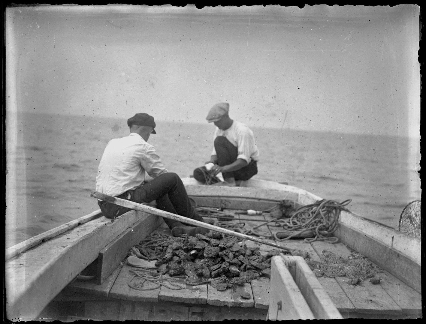 The Oyster Capital of the World